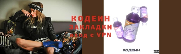 ПСИЛОЦИБИНОВЫЕ ГРИБЫ Тосно
