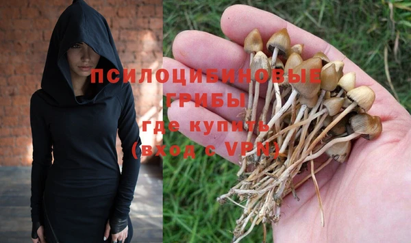 mdpv Чердынь