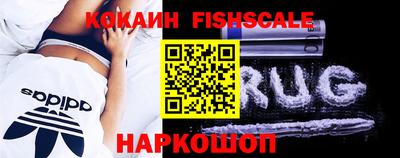 jwh Гатчина