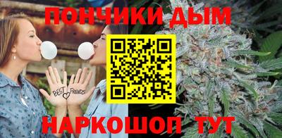 jwh Гатчина