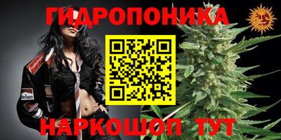 хмурый Севастополь