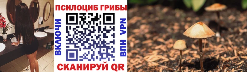 где можно купить   Чита  Галлюциногенные грибы Magic Shrooms 