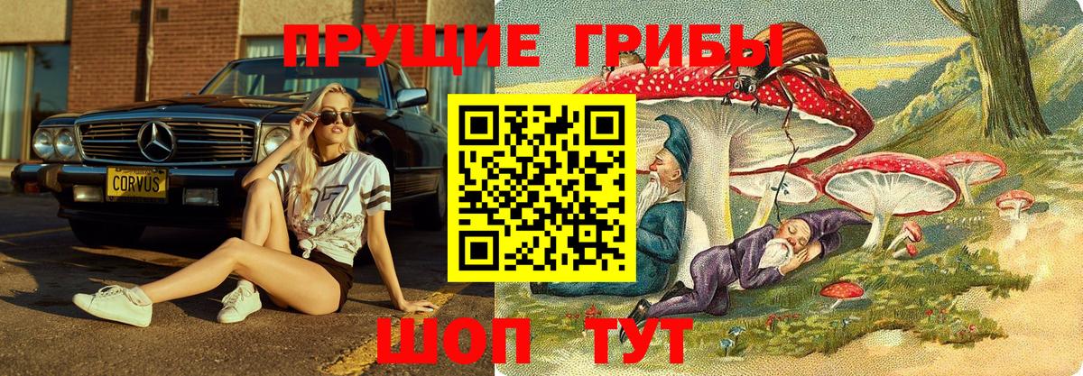 Галлюциногенные грибы мицелий  Чита 