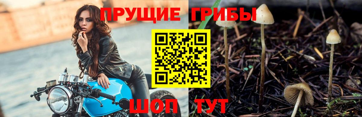 Псилоцибиновые грибы Magic Shrooms  Вход с VPN  Чита 