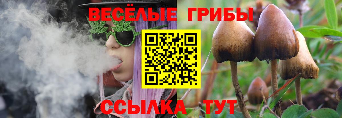 Псилоцибиновые грибы Magic Shrooms Чита